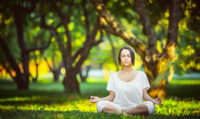 秦游夏,传奇谢幕,请让罗伊斯带着欧冠奖杯离开