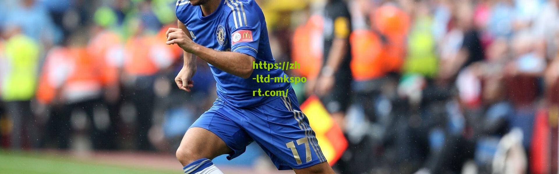 厄德高再遭伤病魔咒 连续三主场半场伤退重创球队